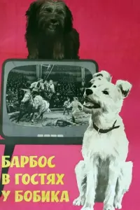 Барбос в гостях у Бобика русский сериал